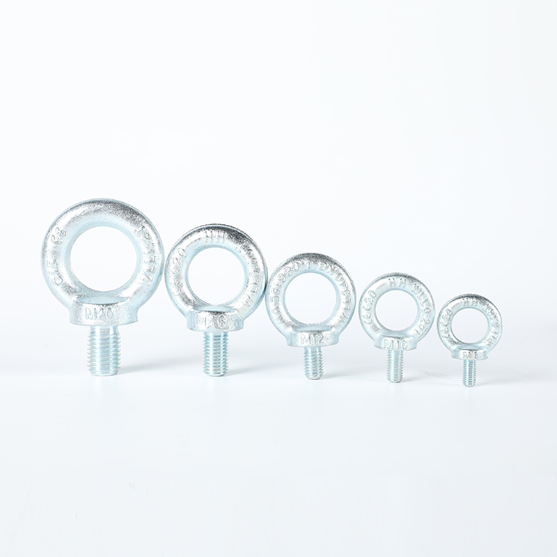 Lifting Ring Bolt